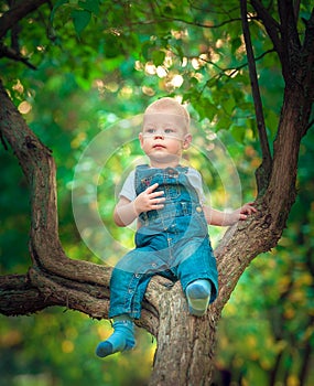 Beautiful blue-eyed child in the fall on a carpet of yellow red leaves