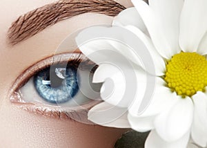 Beautiful blue female eye with white spring flower. Clean skin, fashion naturel make-up. Good vision, healthcare