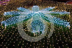 Beautiful blue flower made from small lamps