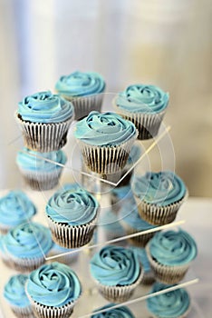 Beautiful blue frosty wedding cupcakes.