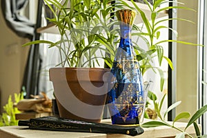 beautiful blue glass bottle with gold decorative details surrounded by pots and plants