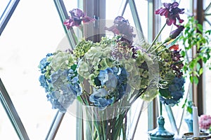 Beautiful blue hydrangea flowers in a glass vase on the background of the window.Beautiful bouquet of flowers in a vase