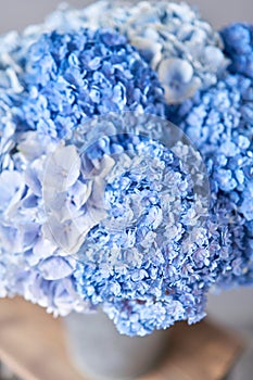 Beautiful blue hydrangea flowers in a vase on a table . Bouquet of light pink flower. Decoration of home. Wallpaper and