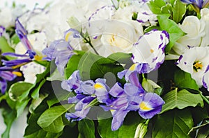 Beautiful blue iris flower with lush leaves, white hydrangea, delicate cream roses. Summer wedding concept background