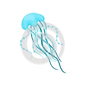Beautiful blue jellyfish. Sea animal with long tentacles. Marine creature. Flat vector for poster, children book or