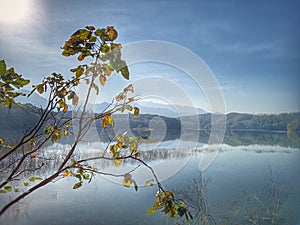 Beautiful blue lake landscape scenery. Tree and autumn leaves in the foreground. Morning sunlight over the  lake. Serenity