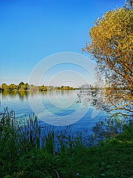 A beautiful blue lake in late summer. In the foreground, lush green grass. To the right, a tree with yellowing leaves.