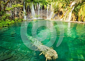 Beautiful blue lake and waterwalls in plitvice national park