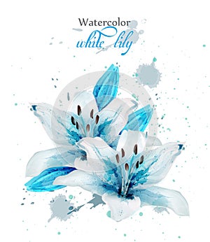 Beautiful blue lily flower Vector. Delicate floral decor. Paint splash