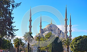 beautiful Blue Mosque of Turkey (Sultanahmet Camii), view from parkside, Istanbul