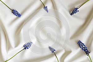 Beautiful blue muscari flowers pattern on white folded background. Minimalistic floral concept with copy space. Creative