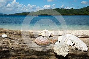 Beautiful blue ocean,coral, sea shell and white sand beach.