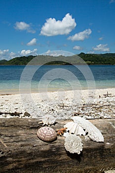 Beautiful blue ocean and white sand beach.