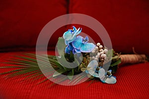 Beautiful blue Phalaenopsis orchid with branches flowers