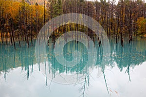 A Beautiful Blue Pond in Hokkaido, Japan