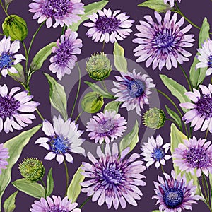 Beautiful blue and purple daisy flowers with closed buds and leaves on deep purple background. Seamless spring pattern.
