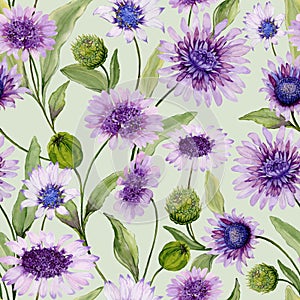 Beautiful blue and purple daisy flowers with closed buds and leaves on light green background. Seamless spring pattern.