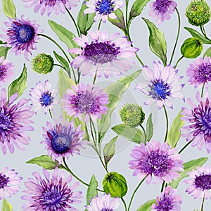 Beautiful blue and purple daisy flowers with green leaves on light background. Seamless spring pattern. Watercolor painting.
