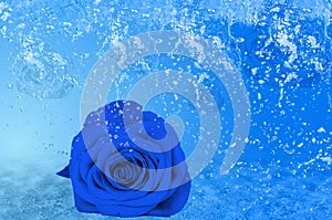 Beautiful blue rose, a lot of ice and water