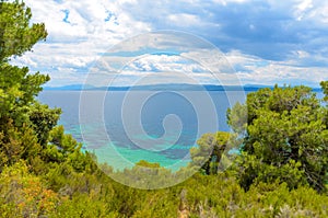 Beautiful blue sea behind conifers photo