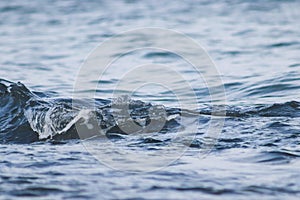 Beautiful   blue sea water surface with low waves. Seascape background. Calm Dark Sea Waves.