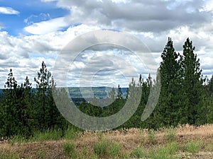 Beautiful Blue Skies and Clouds in the Northwest