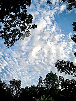 beautiful blue sky accompanied by beautiful clouds