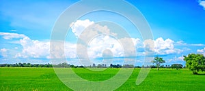 Beautiful blue sky and cloud background on sunshine day. Green fields