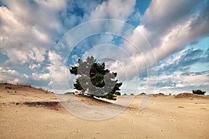 Beautiful blue sky with clouds over sand dune