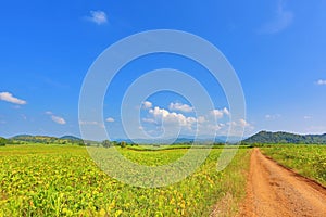 Beautiful blue sky and country road to the mountain. Rural green field and trees