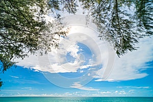 Beautiful blue sky white clouds over sea ocean background with pine trees frame
