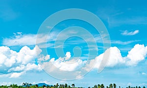 Beautiful blue sky and white cumulus clouds against coconut tree and mountain in happy and chill out day.