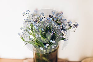 Beautiful blue spring little flowers on rustic background in room. Delicate myosotis petals, forget me not. Simple countryside