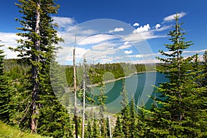 Duck Lake Yellowstone National Park