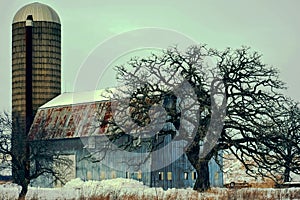 Beautiful Blue Weathered Barn with Oak Tree, Winter