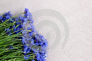 Beautiful bluet flower bouquet laying on pink background,bunch of cornflower with free copy space for text, top view