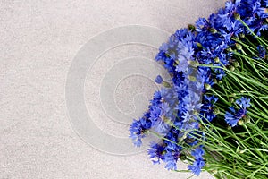 Beautiful bluet flower bouquet laying on pink background,bunch of cornflower with free copy space for text, top view
