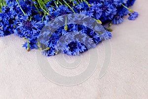 Beautiful bluet flower bouquet laying on pink background,bunch of cornflower with free copy space for text, top view