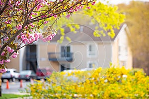 Beautiful blurred village homes in spring time