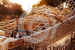 Boho style, hammock in spikelet background at sunset. Lightness and simplicity. photo