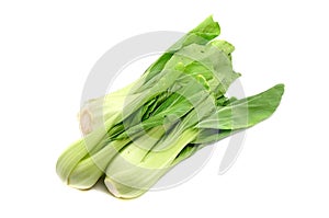 Beautiful Bok choy