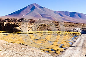 Beautiful bolivian landscape,Bolivia photo