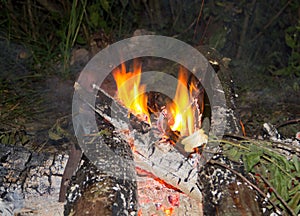 Beautiful bonfire