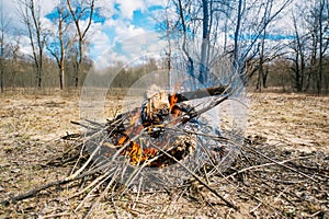Beautiful bonfire in the spring forest