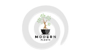 Beautiful bonsai plant colorful logo symbol vector icon illustration graphic design