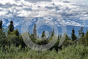 Beautiful boreal forest along the Richardson Highway shows the D