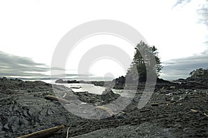 Beautiful Botanical Beach in Port Renfrew.Vancouver island