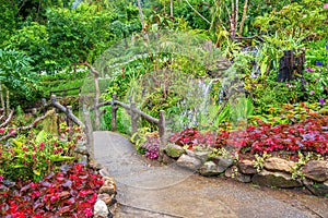 Beautiful botanical garden with bridge and waterfall