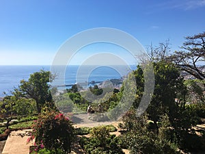 Beautiful botanical garden view over its tropical vegetation and the mediterranean sea