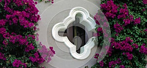 Beautiful bougainvillea on a wall by a modern stylistic window